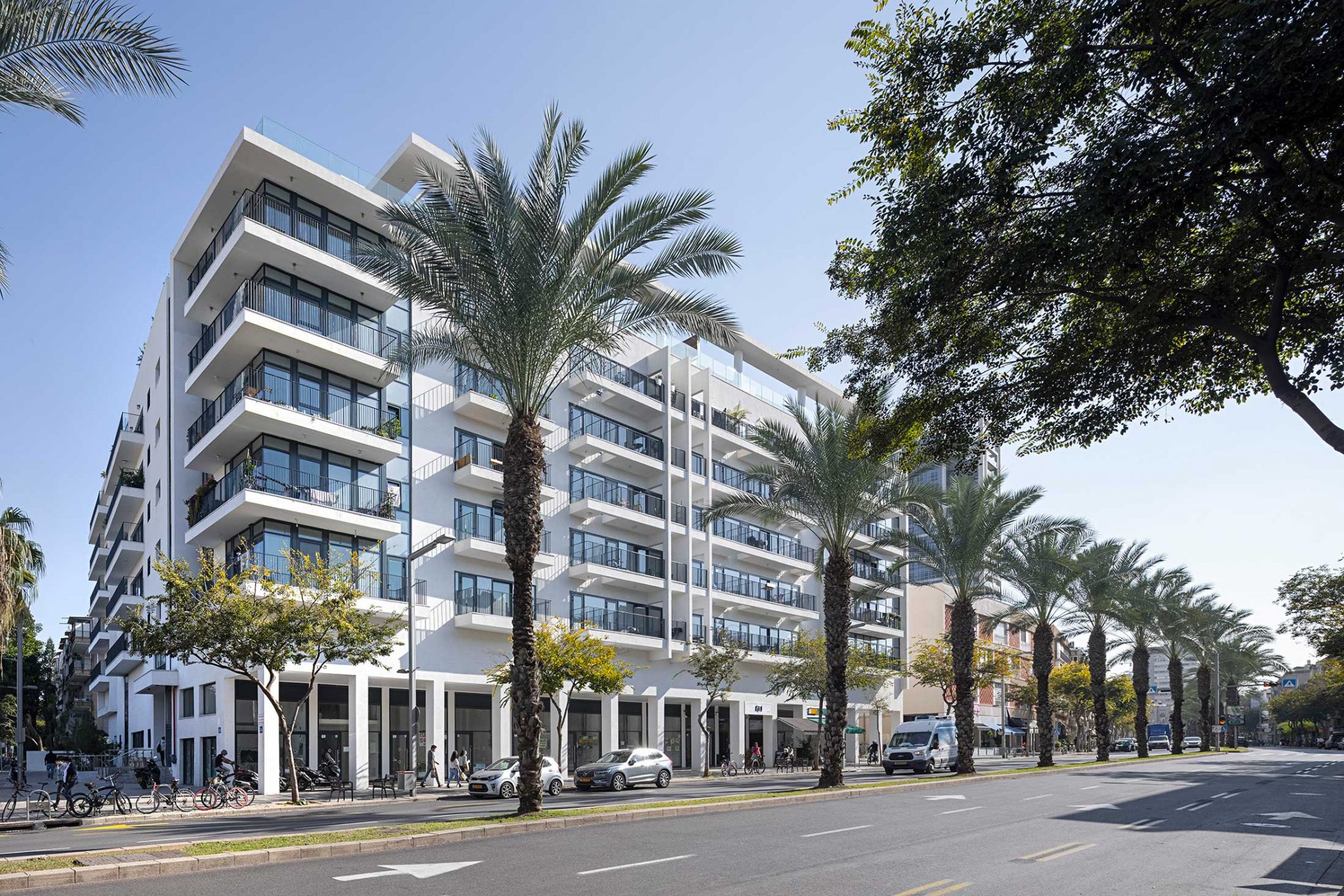 ICON TLV