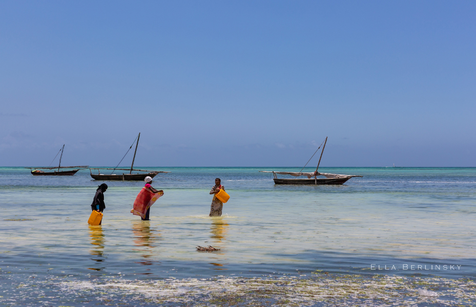Zanzibar